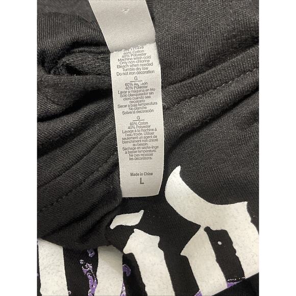 Riptide Music Festival Hoodie Adult L Jellyroll Black Keys Sublime 2003 FLorida - Picture 6 of 9